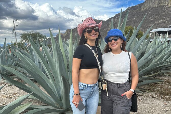 Small Group Boerve del Agua and Mezcal Tour from Oaxaca Centro - Mezcal in Tlacolula de la Asunción: Learning the Process and Tasting Multiple Styles