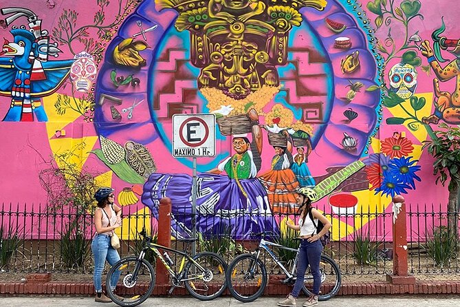Street Art Bike Ride - Learning Local History, Culture, and Social Issues While You Ride