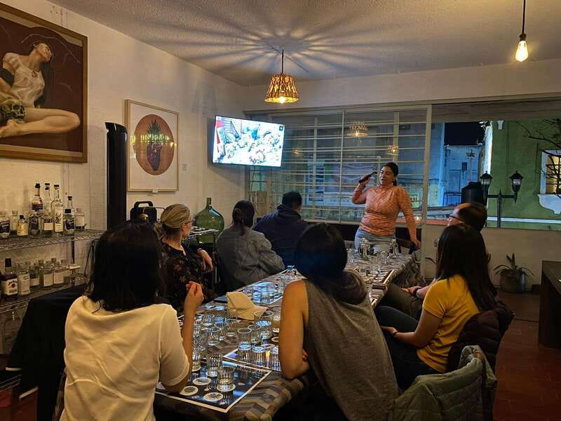 The Best Mezcal Tasting, Mezcal Tasting in Oaxaca - What the process lesson teaches (and what it doesn’t)