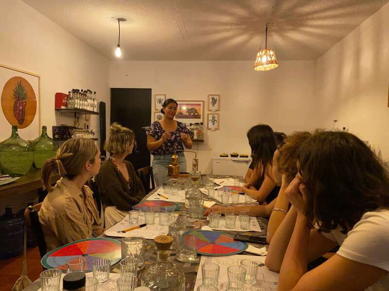 The Best Mezcal Tasting, Mezcal Tasting in Oaxaca - Who this mezcal tasting is best for (and who should skip it)