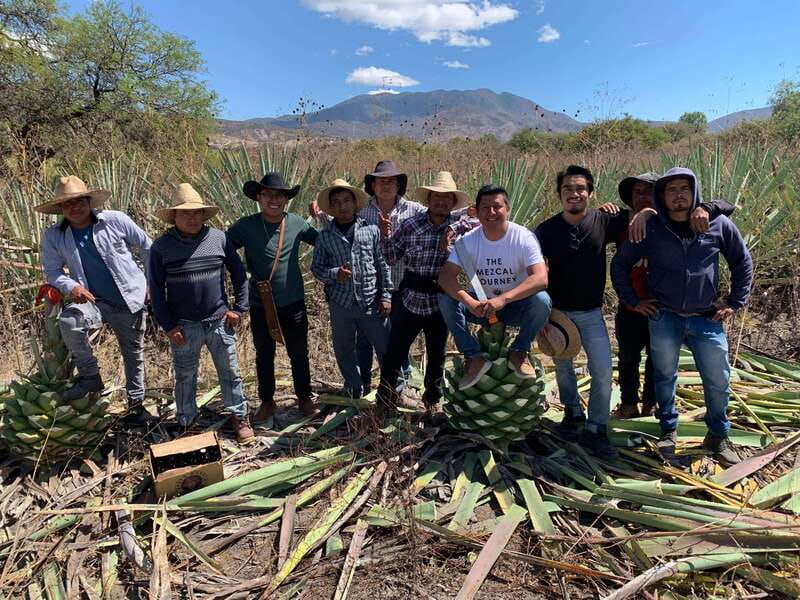 The Mezcal Journey - Who This Tour Fits Best (and Who Might Find It Too Much)