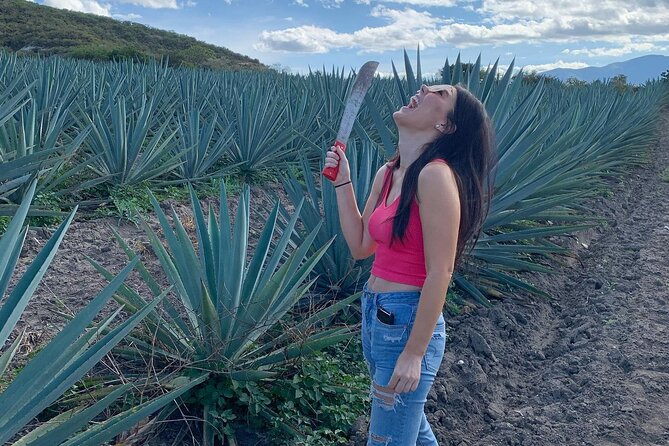 The Mezcal Journey - The Trip Back: Why the 6 Hours Works