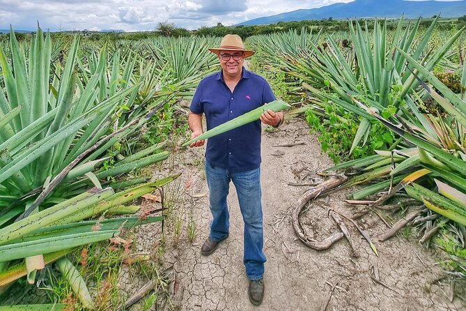 Tour Monte Albán, Hierve el agua, Teotitlán Del Valle and Mezcal - El Rey de Matatlán mezcal: 15+ flavors, artisan focus, and the 21+ rule