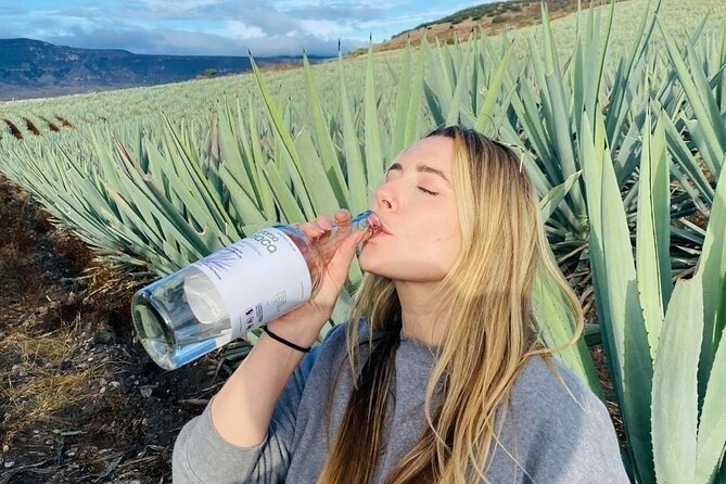 Tradicional Mezcal Experience in Oaxaca-Visit a Family Distillery - Key highlights you’ll feel right away