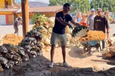Tradicional Mezcal Experience in Oaxaca-Visit a Family Distillery - The family distillery visit: roasting, milling, and the magic of the maestro mezcalero