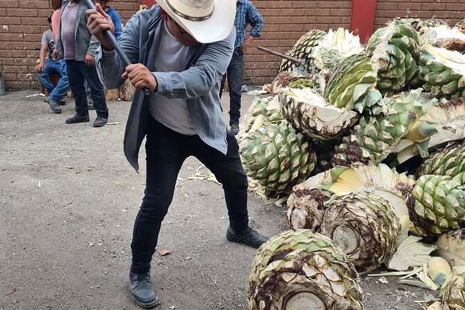 Tradicional Mezcal Experience in Oaxaca-Visit a Family Distillery - What you’ll like most (and who it suits best)