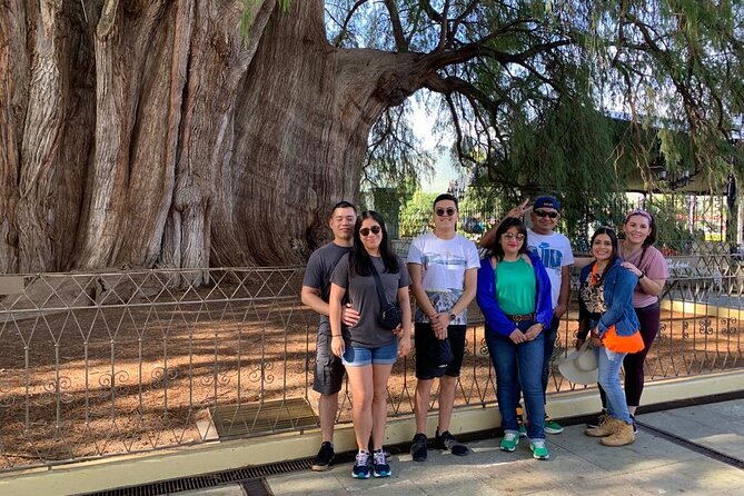 Tule, Mitla & Hierve el Agua Full-Day Tour with Certified Guide - San Pablo Villa de Mitla lunch: convenient buffet, with a mixed reality