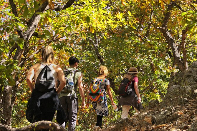 Ultimate Hierve el Agua Hike + Mezcal - La Salina and the quieter approach to the falls